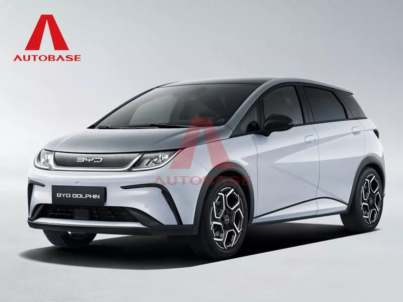 Byd delfín